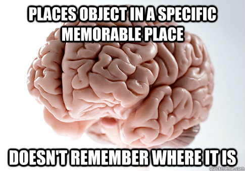 Places object in a specific memorable place doesn't remember where it is  Scumbag Brain