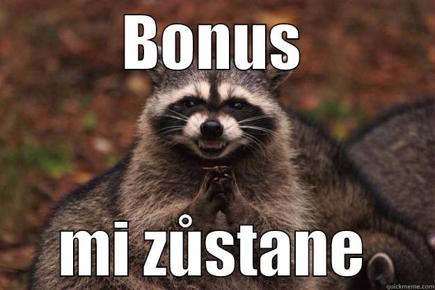 BONUS MI ZŮSTANE Evil Plotting Raccoon