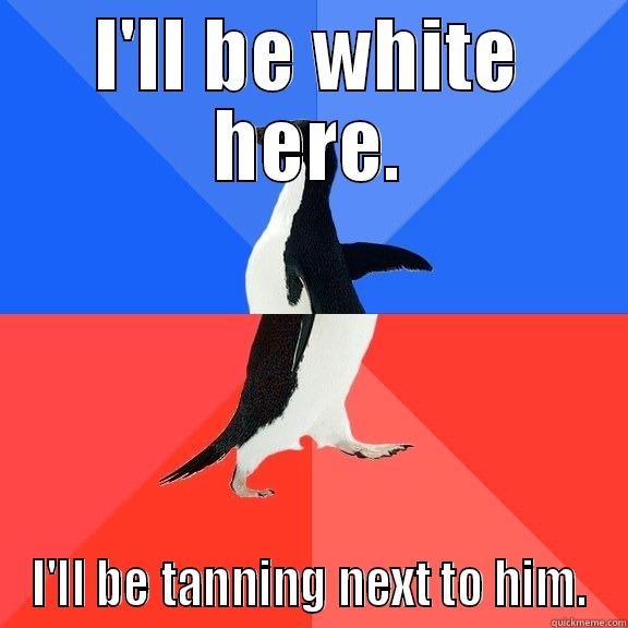 I'LL BE WHITE HERE. I'LL BE TANNING NEXT TO HIM. Socially Awkward Awesome Penguin