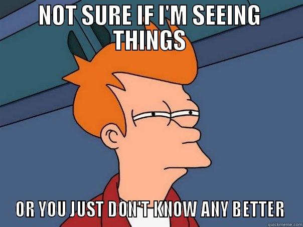 NOT SURE IF I'M SEEING THINGS OR YOU JUST DON'T KNOW ANY BETTER Futurama Fry