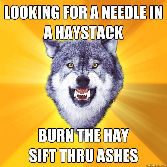 looking for a needle in a haystack burn the hay
sift thru ashes  Courage Wolf