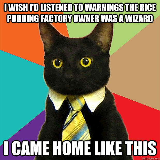 I wish I'd listened to warnings the rice pudding factory owner was a wizard I came home like this  Business Cat