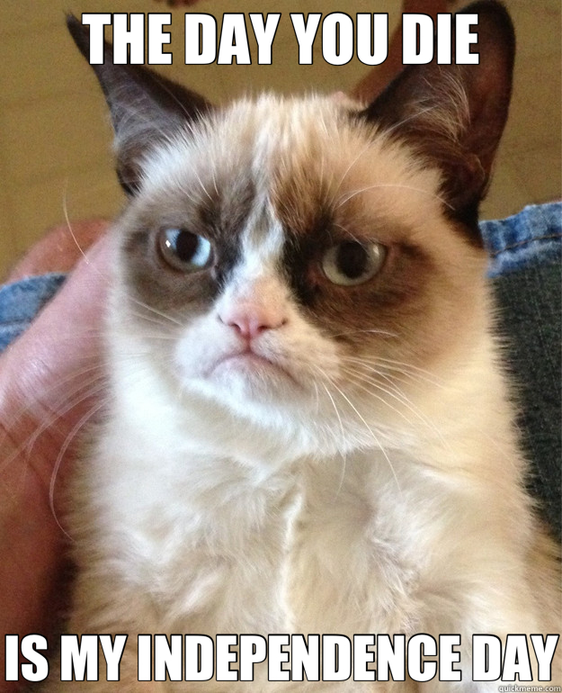 THE DAY YOU DIE IS MY INDEPENDENCE DAY  Grumpy Cat