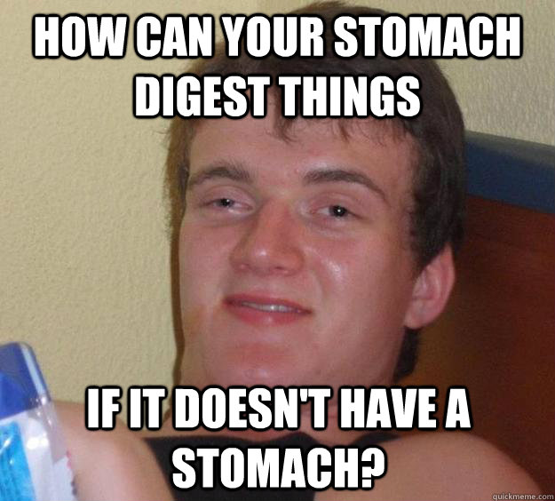 HOW CAN YOUR STOMACH DIGEST THINGS iF IT DOESN'T HAVE A STOMACH?  10 Guy