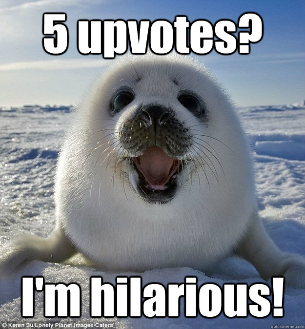 5 upvotes? I'm hilarious! - 5 upvotes? I'm hilarious!  Easily Pleased Seal