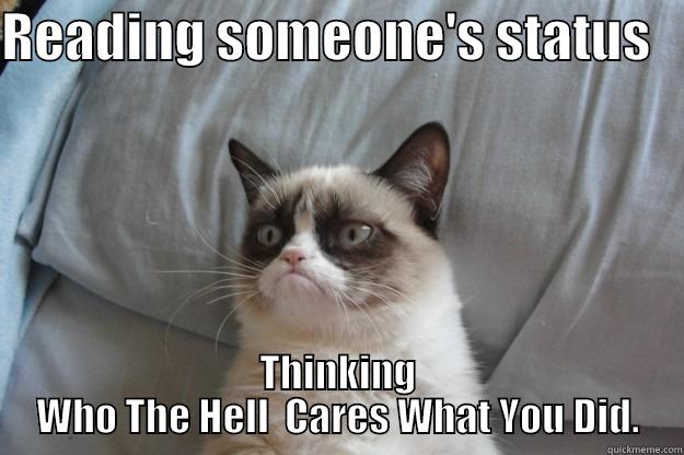 READING SOMEONE'S STATUS    THINKING WHO THE HELL  CARES WHAT YOU DID. Grumpy Cat