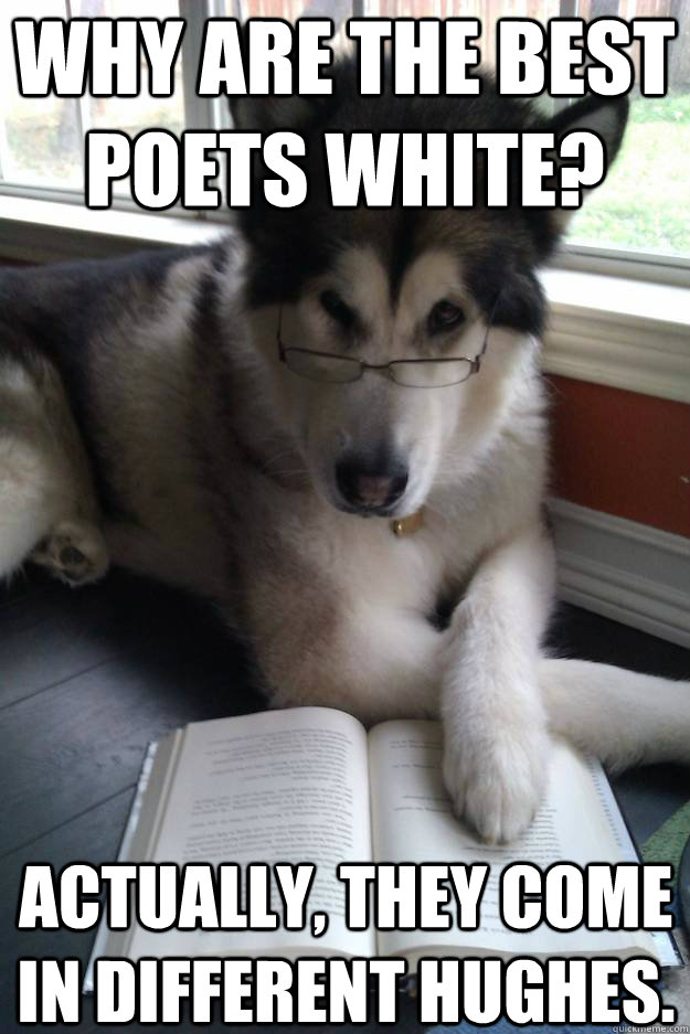 Why are the best poets white? Actually, they come in different Hughes.  Condescending Literary Pun Dog