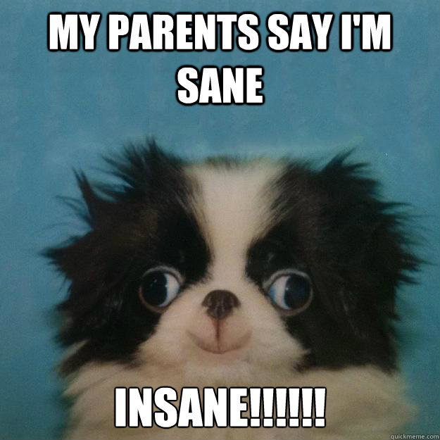 my parents say i'm sane insane!!!!!!  