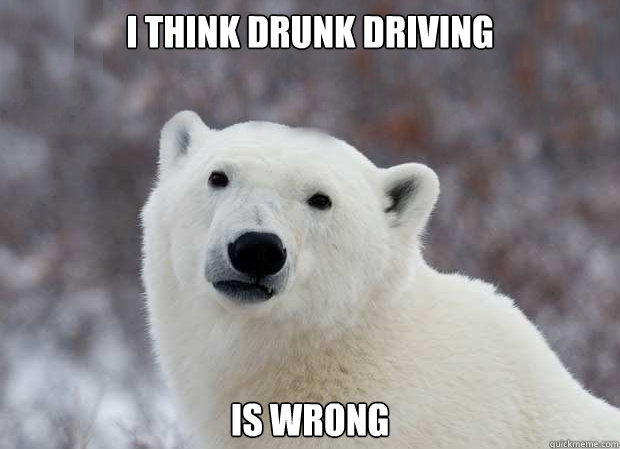 I think drunk driving is wrong  Popular Opinion Polar Bear