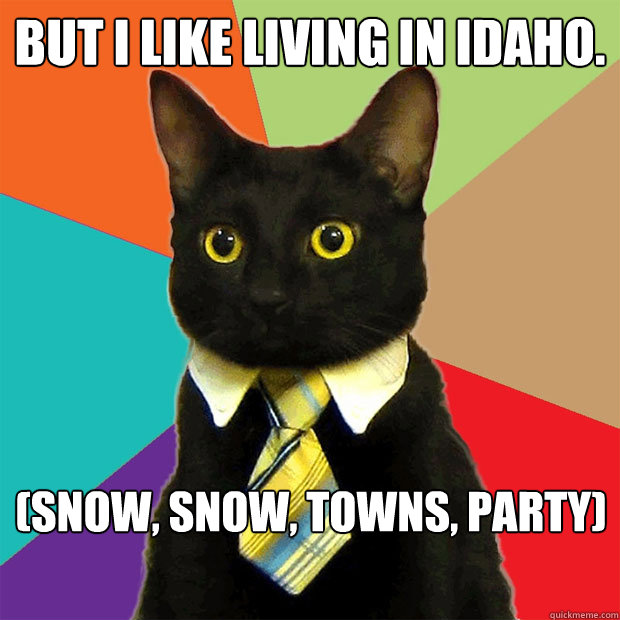 But I like living in Idaho. 
(snow, snow, towns, party)  Business Cat