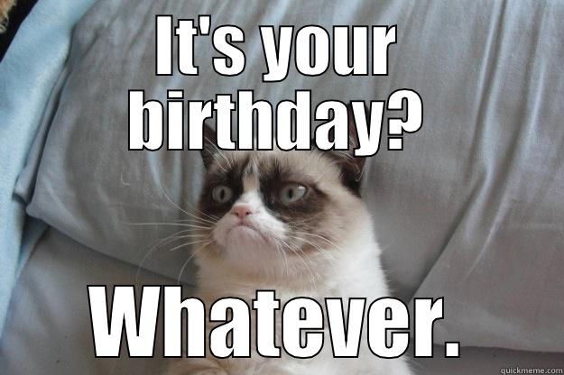 Birthday no - IT'S YOUR BIRTHDAY? WHATEVER. Grumpy Cat