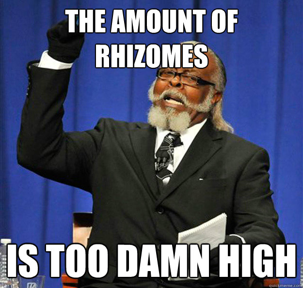 The amount of rhizomes Is too damn high  Jimmy McMillan