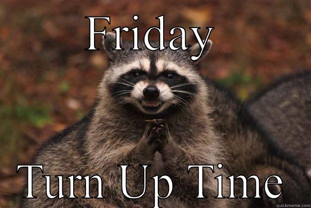 FRIDAY TURN UP TIME Evil Plotting Raccoon