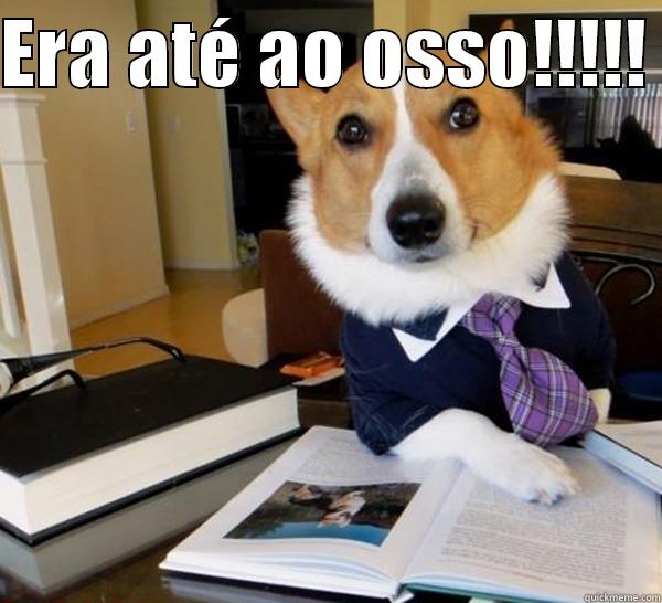 ERA ATÉ AO OSSO!!!!!   Lawyer Dog