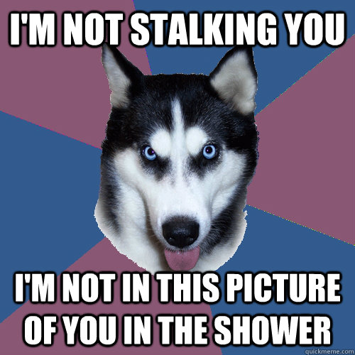 I'm not stalking you I'm not in this picture of you in the shower  Creeper Canine