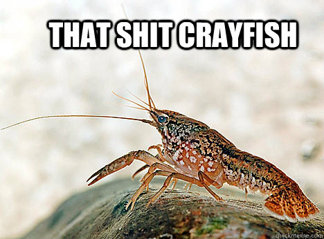 THAT SHIT CRAYFISH - THAT SHIT CRAYFISH  That shit crayfish