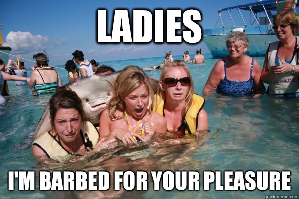 Ladies I'm barbed for your pleasure  Pervert Stingray