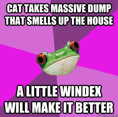 Cat takes massive dump that smells up the house A little Windex will make it better  Foul Bachelorette Frog