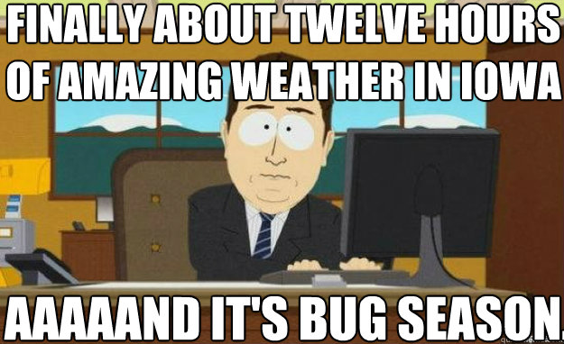 finally about twelve hours of amazing weather in iowa AAAAAND IT'S bug season. - finally about twelve hours of amazing weather in iowa AAAAAND IT'S bug season.  aaaand its gone