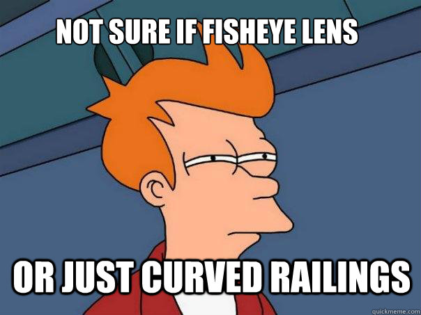 Not sure if fisheye lens or just curved railings  Futurama Fry