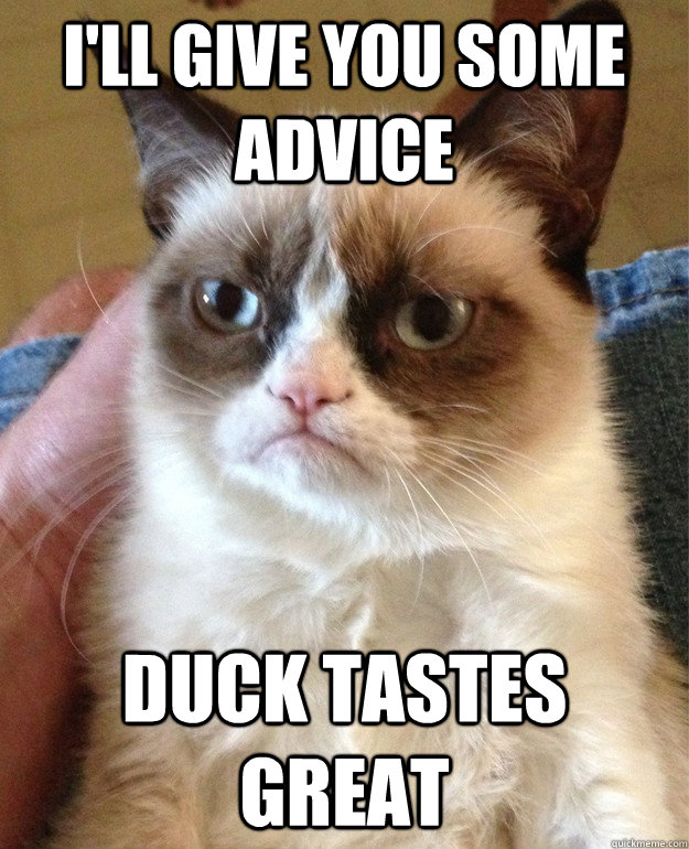 I'll give you some advice duck tastes great  Grumpy Cat