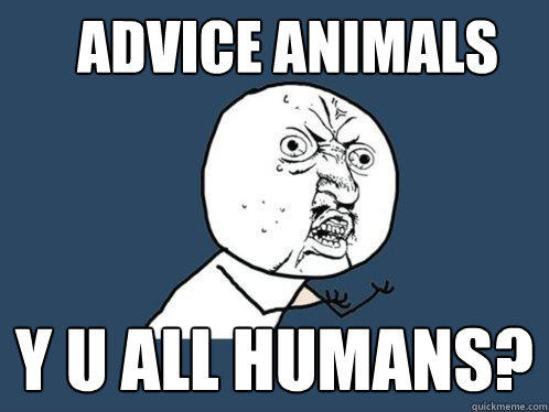 Advice Animals y u all humans?  