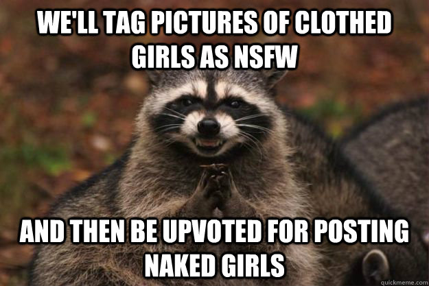 We'll tag pictures of clothed girls as NSFW and then be upvoted for posting naked girls  Evil Plotting Raccoon