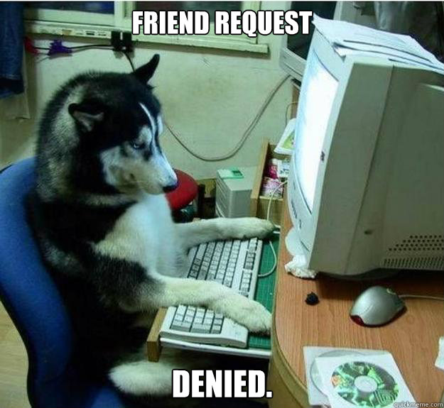 Friend request denied. - Friend request denied.  Disapproving Dog