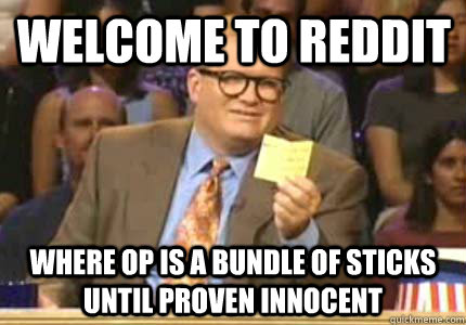 Welcome to Reddit Where OP is a bundle of sticks until proven innocent - Welcome to Reddit Where OP is a bundle of sticks until proven innocent  Misc