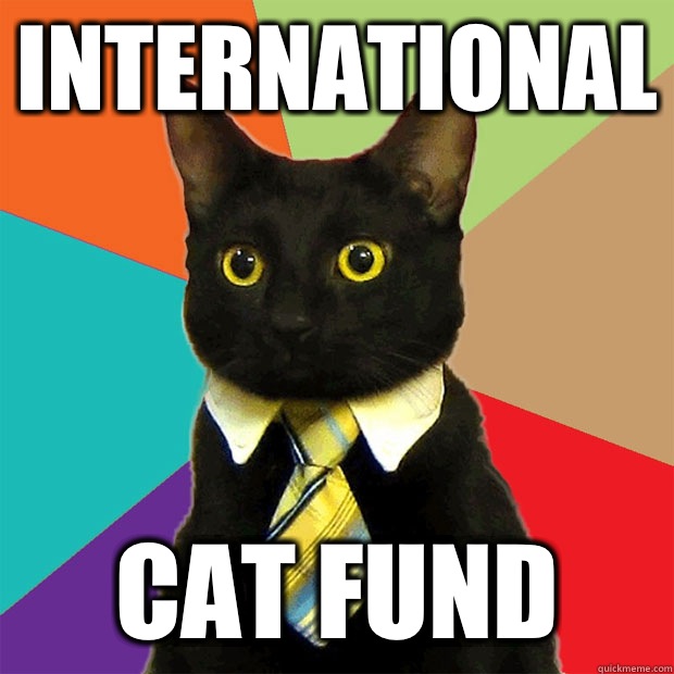 International Cat fund  Business Cat