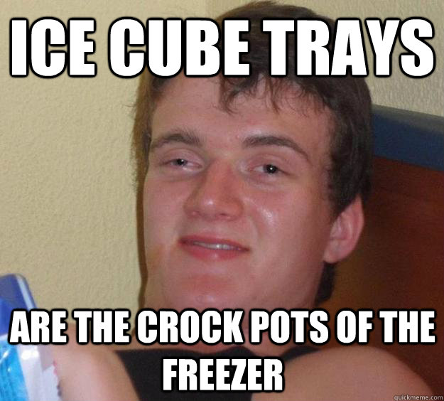 Ice Cube Trays Are the crock pots of the freezer  10 Guy