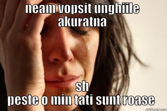 ro ase - NEAM VOPSIT UNGHIILE AKURATNA SH PESTE O MIN TATI SUNT ROASE  First World Problems