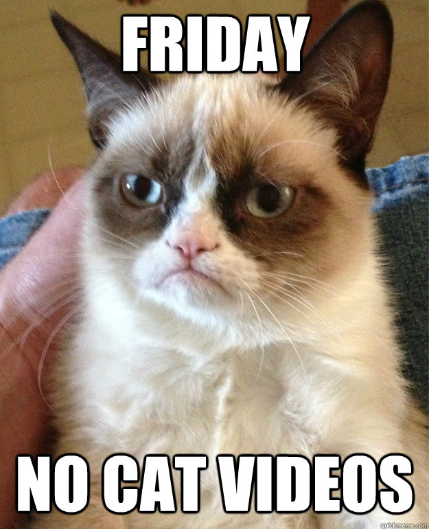 FRIDAY NO CAT VIDEOS  Grumpy Cat