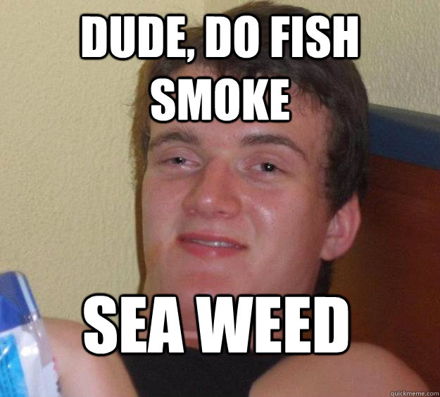 dude, do fish smoke sea weed  10 Guy