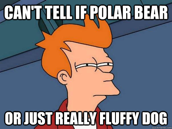 Can't tell if polar bear or just really fluffy dog - Can't tell if polar bear or just really fluffy dog  Futurama Fry