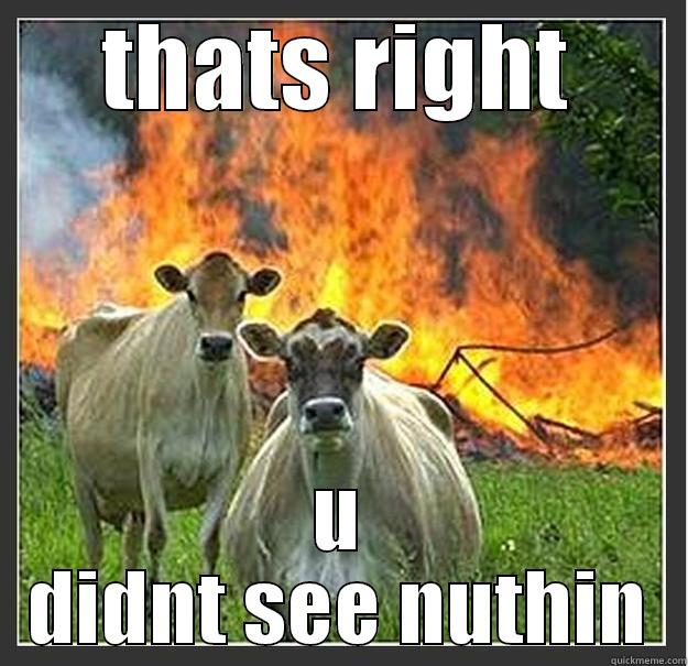 crazy bastards - THATS RIGHT U DIDNT SEE NUTHIN Evil cows