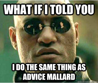 WHAT IF I TOLD YOU i do the same thing as advice mallard - WHAT IF I TOLD YOU i do the same thing as advice mallard  morpheus meme