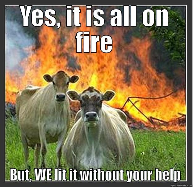 YES, IT IS ALL ON FIRE BUT, WE LIT IT WITHOUT YOUR HELP Evil cows