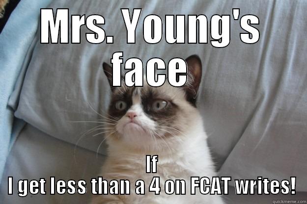 MRS. YOUNG'S FACE IF I GET LESS THAN A 4 ON FCAT WRITES! Grumpy Cat