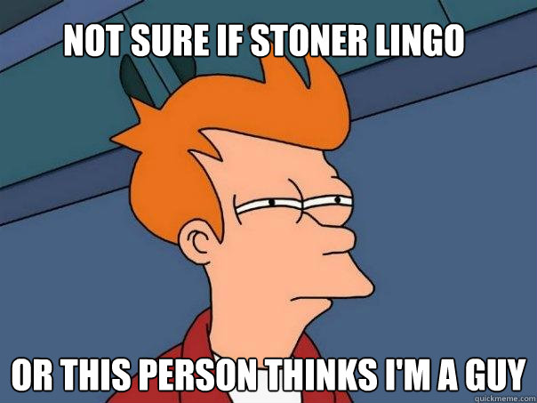 Not sure if stoner lingo Or this person thinks i'm a guy  Futurama Fry