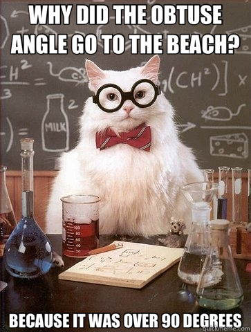 WHY DID THE OBTUSE ANGLE GO TO THE BEACH? BECAUSE IT WAS OVER 90 DEGREES - WHY DID THE OBTUSE ANGLE GO TO THE BEACH? BECAUSE IT WAS OVER 90 DEGREES  Chemistry Cat