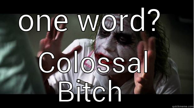 ONE WORD?  COLOSSAL BITCH  Joker Mind Loss