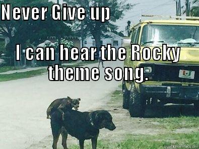 NEVER GIVE UP                                                                                I CAN HEAR THE ROCKY THEME SONG.  Misc