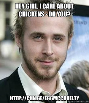 Hey girl, I care about chickens - do you?  http://chn.ge/eggmccruelty - Hey girl, I care about chickens - do you?  http://chn.ge/eggmccruelty  Ryan Gosling