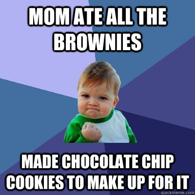 Mom ate all the brownies made chocolate chip cookies to make up for it  Success Kid