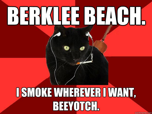 Berklee Beach. I smoke wherever I want, beeyotch.  Berklee Cat