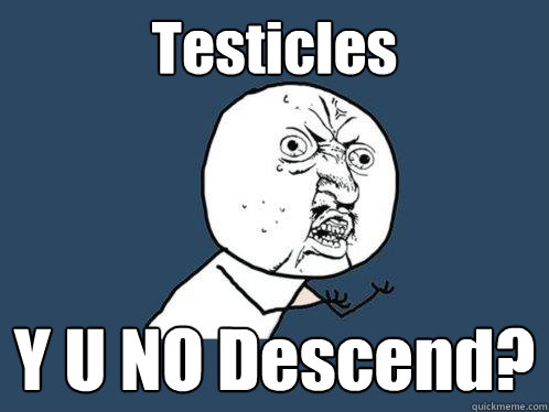 Testicles Y U NO Descend?  Y U No