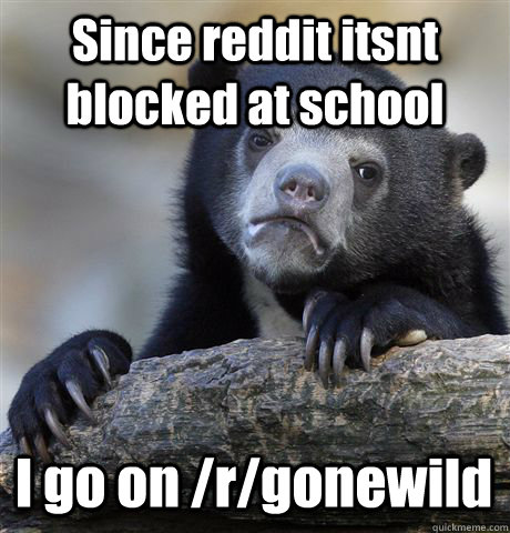 Since reddit itsnt blocked at school I go on /r/gonewild  Confession Bear