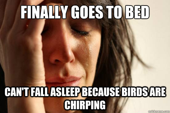 finally goes to bed Can't fall asleep because birds are chirping  First World Problems