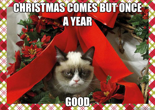 Christmas comes but once 
a year Good  A Grumpy Cat Christmas